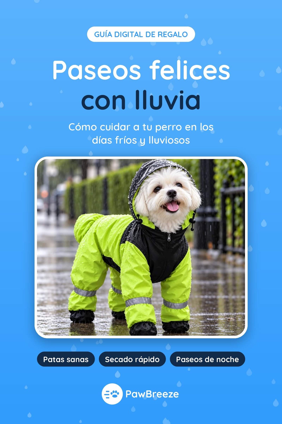 E-book paseos lluviosos